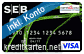 SEB VISA VarioStar